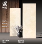 بازرگانی پاسارگاد